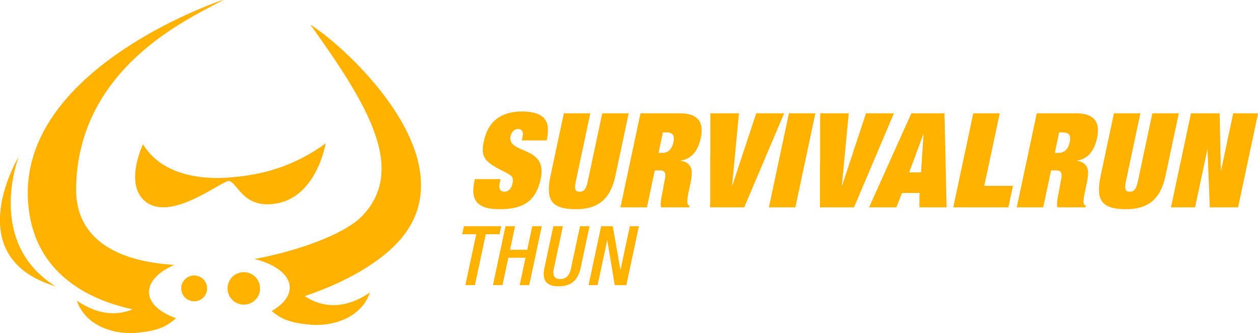 8. Survival Run